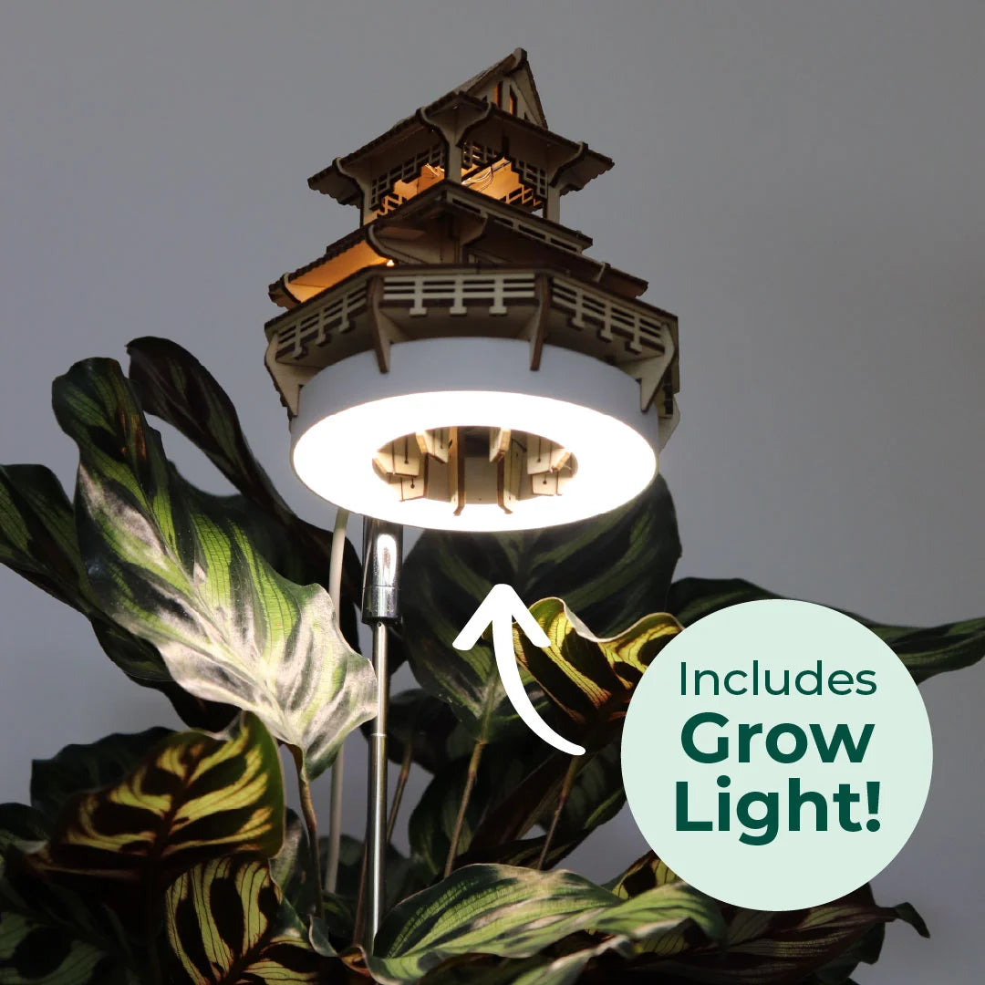 Sunrise Terrace + Grow Light