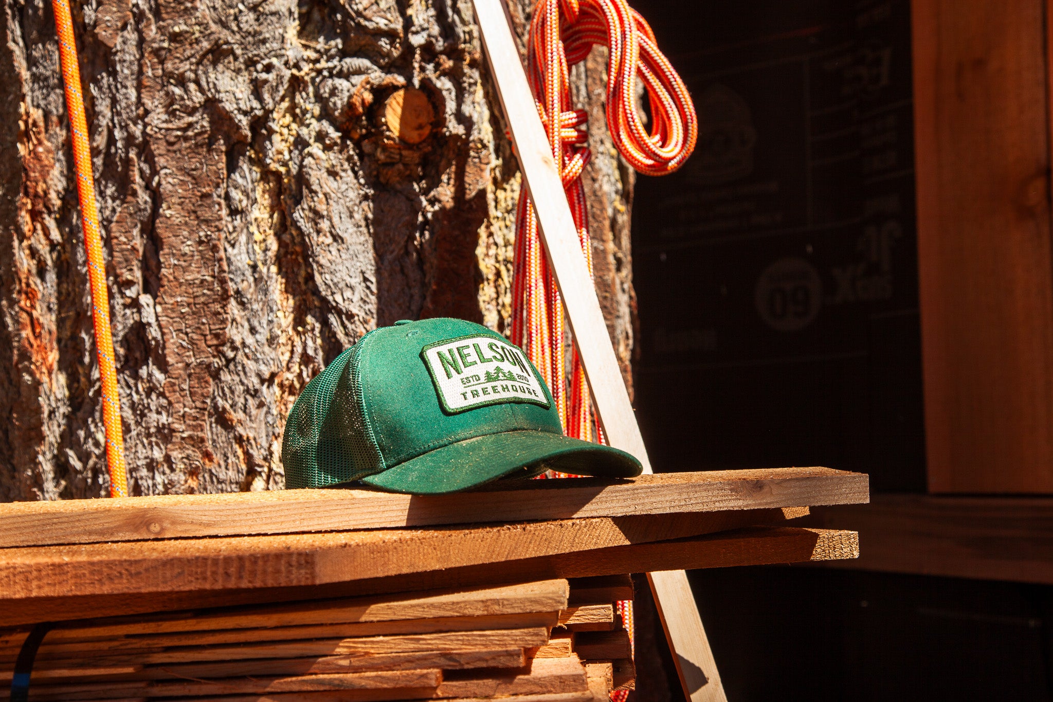 Nelson Treehouse Bosque Sombrero Verde