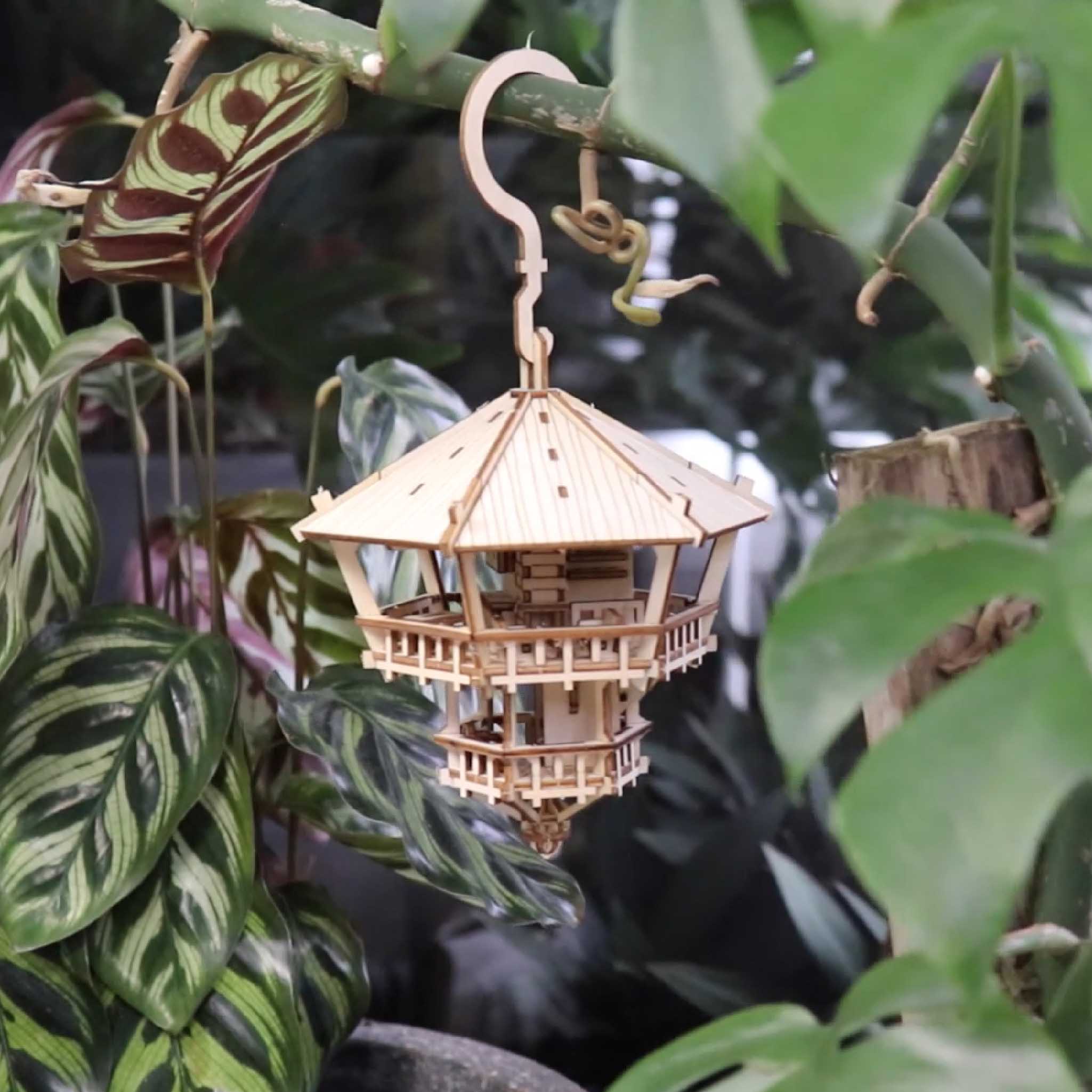 Escondite en las copas de los árboles