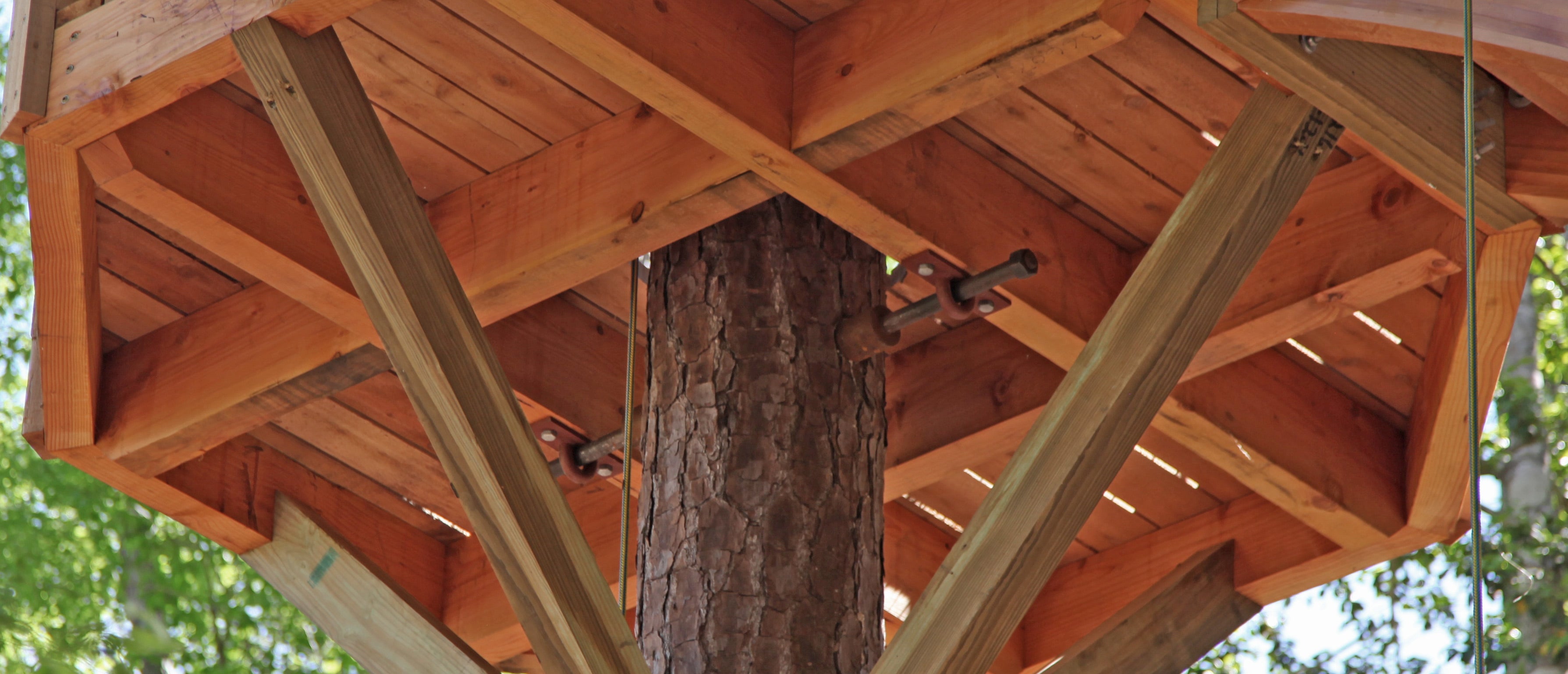 Standard Limb