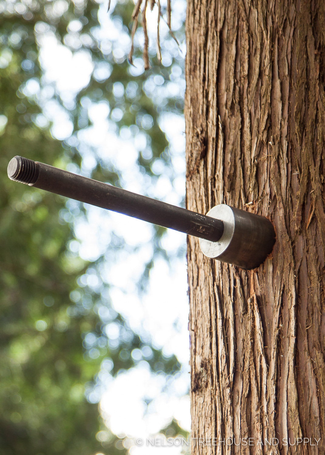 Treehouse Attachment Bolts