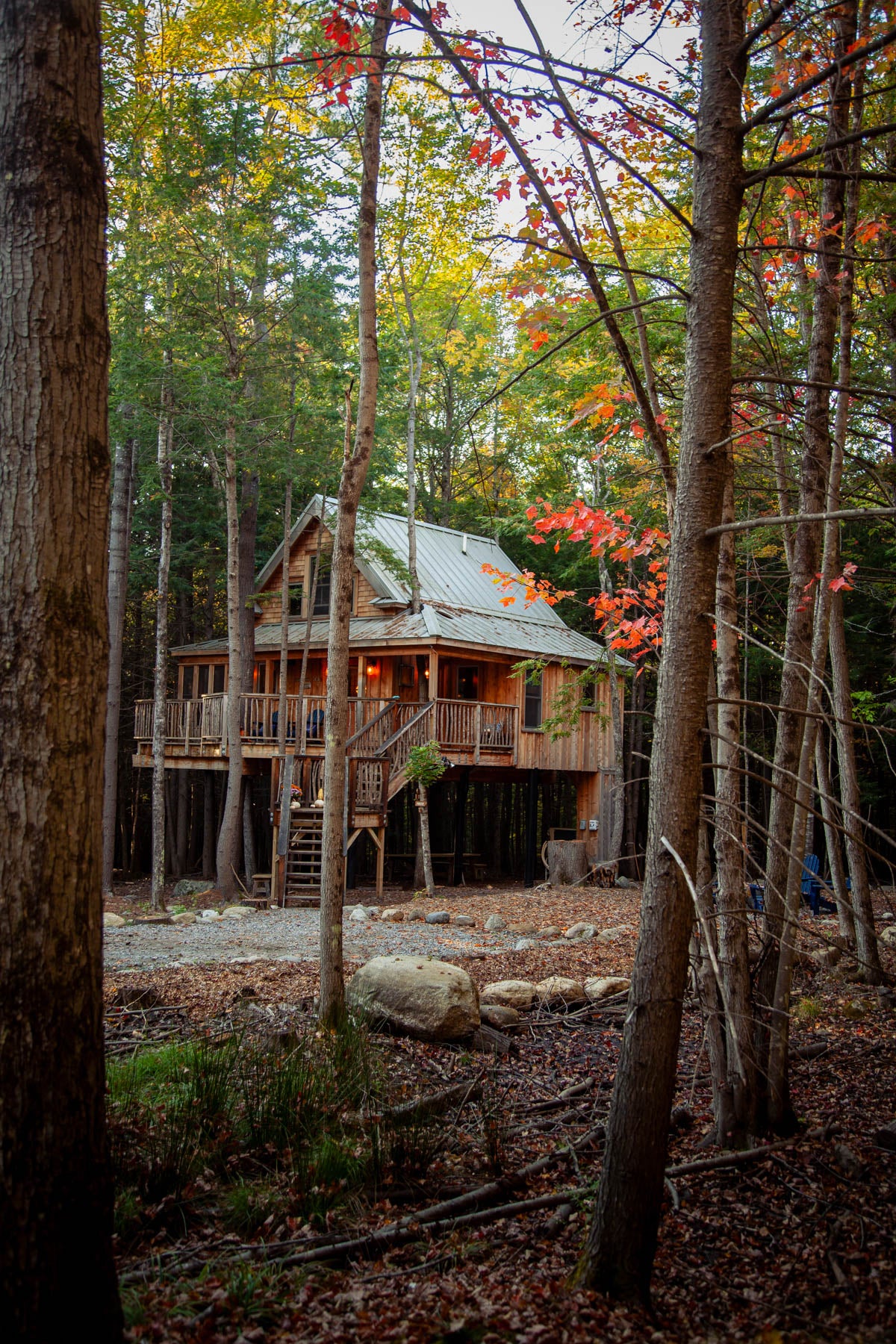 The Woods Collection