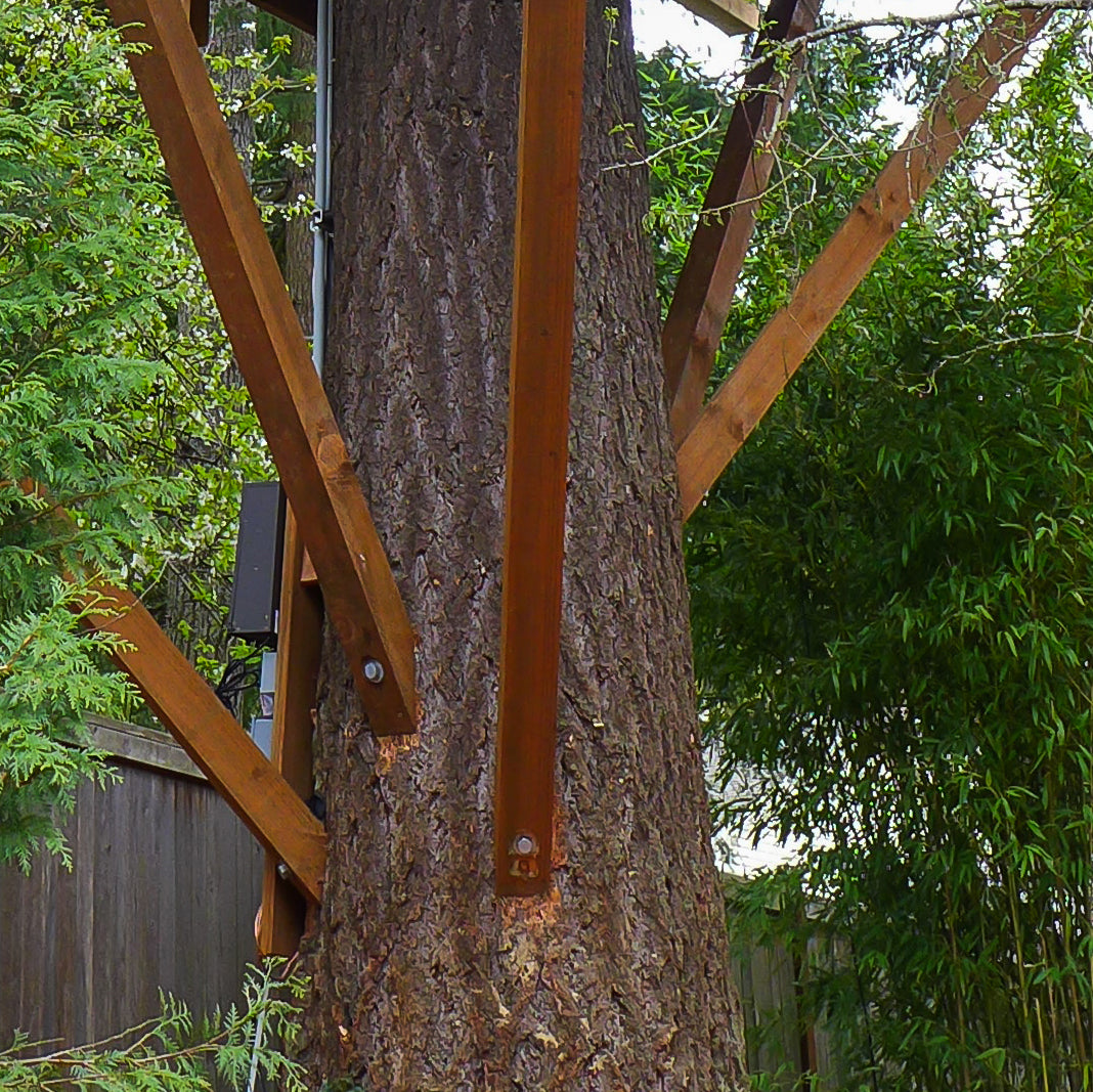 Zugschraube (1" x 12")