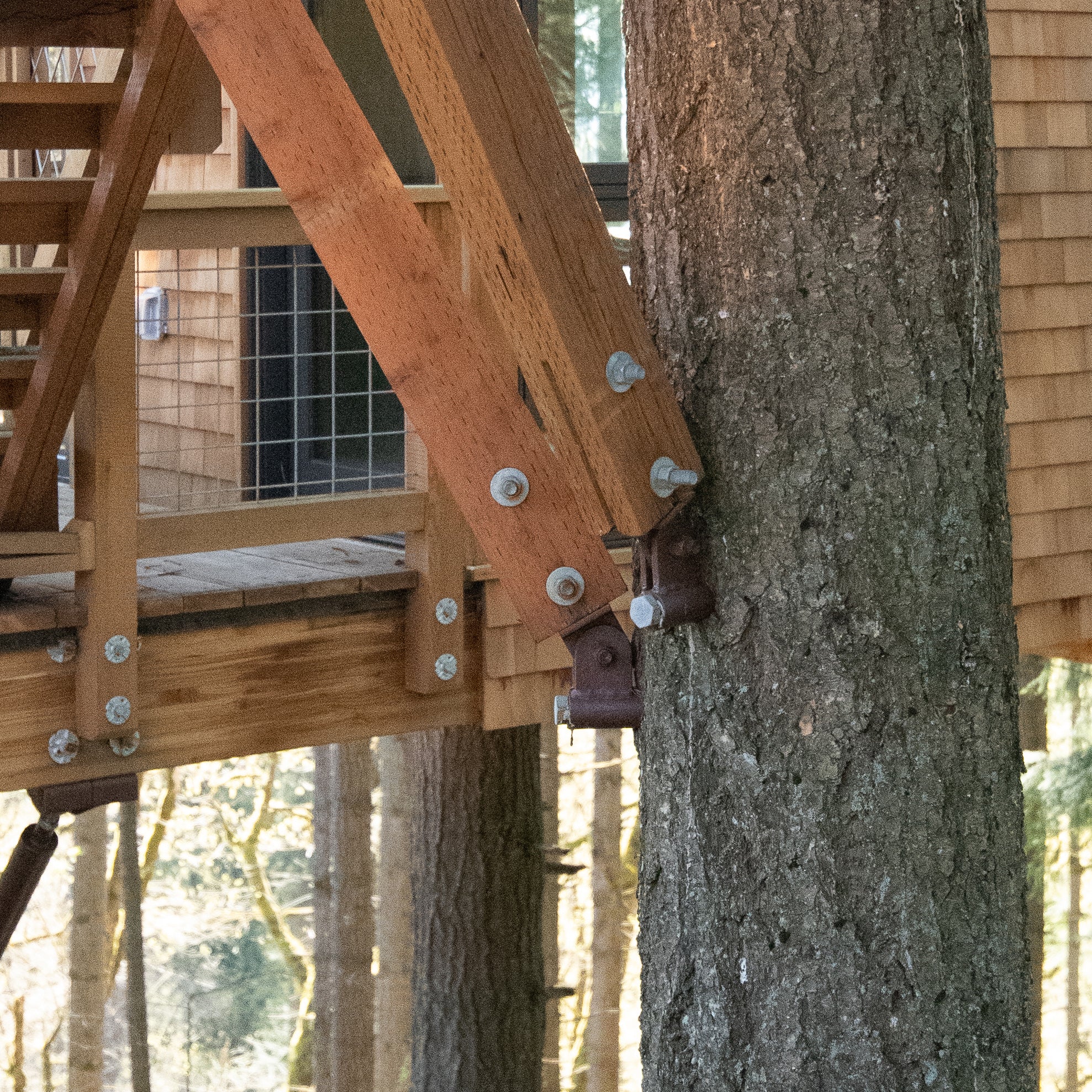 Puntal de madera: retraso de 1"