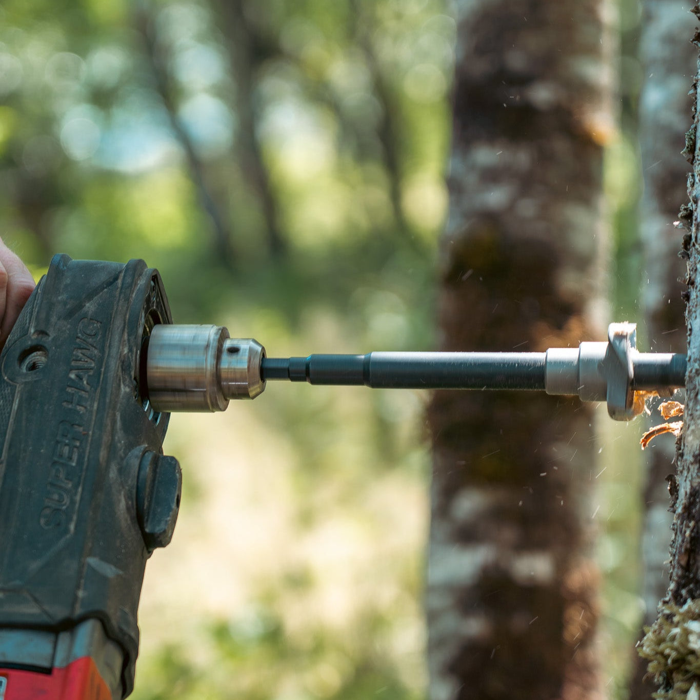 Kit de instalación de árbol fuerte