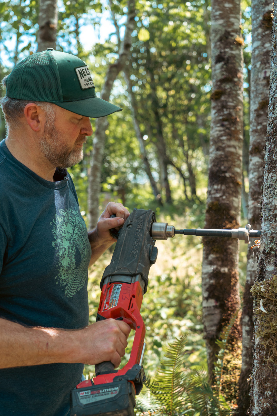 Treehouse Attachment Bolt (TAB) - Tree Fort Hardware – Be in a Tree