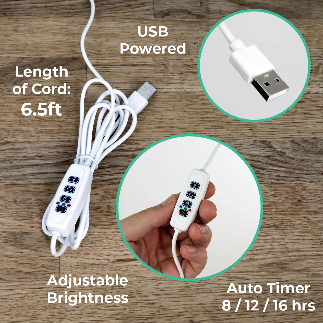 Island Cabana + Grow Light