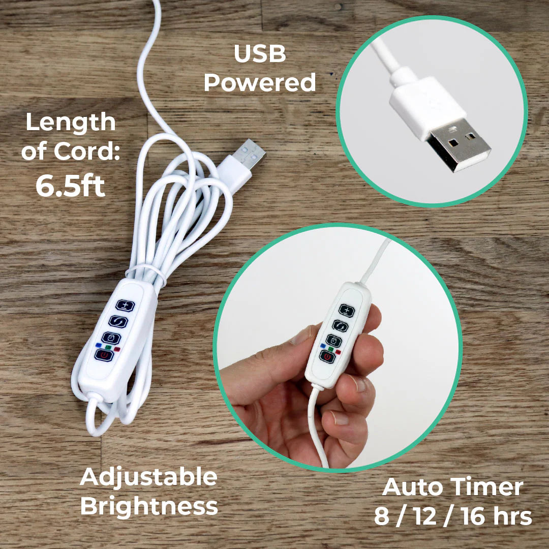 Sunrise Terrace + Grow Light
