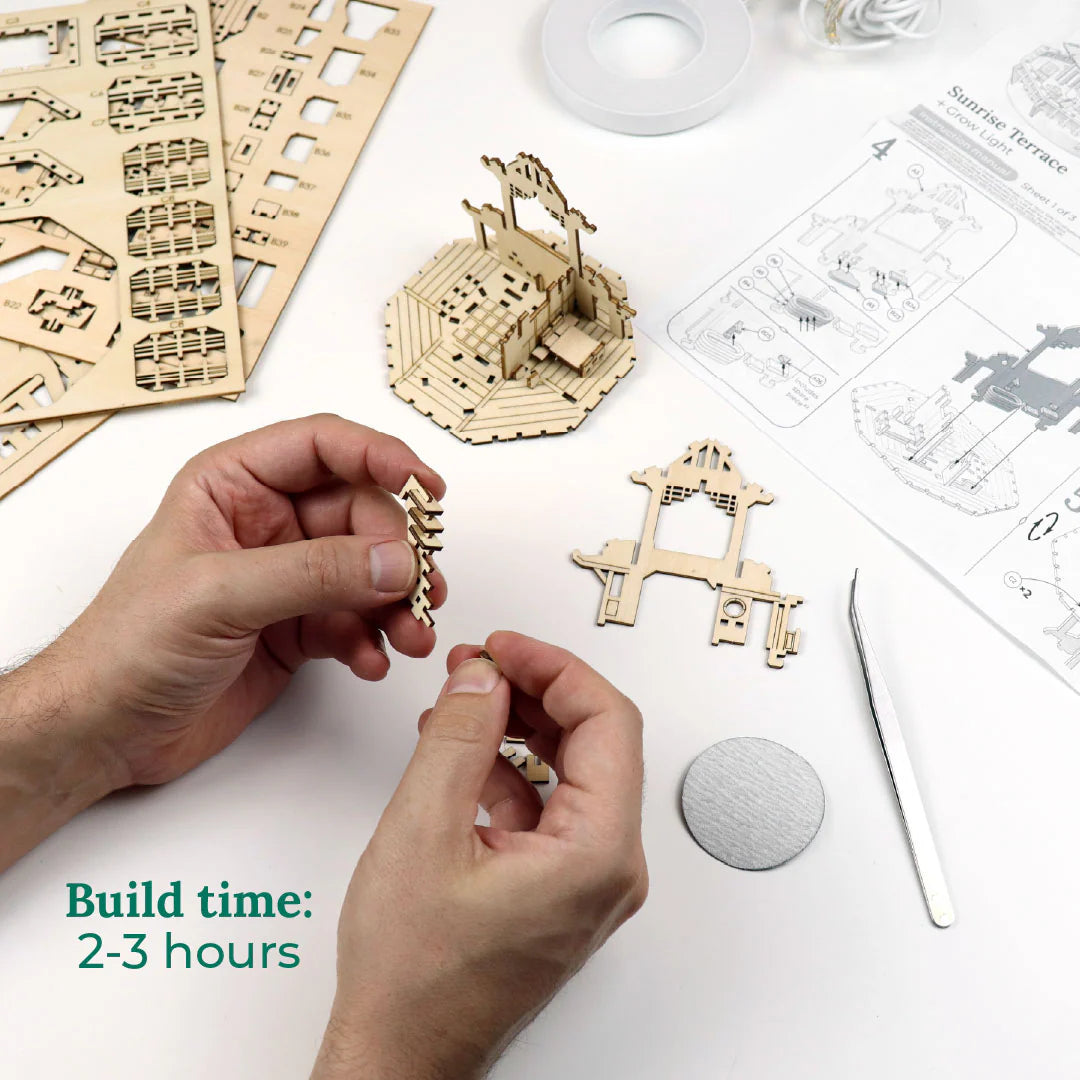 Sunrise Terrace + Grow Light