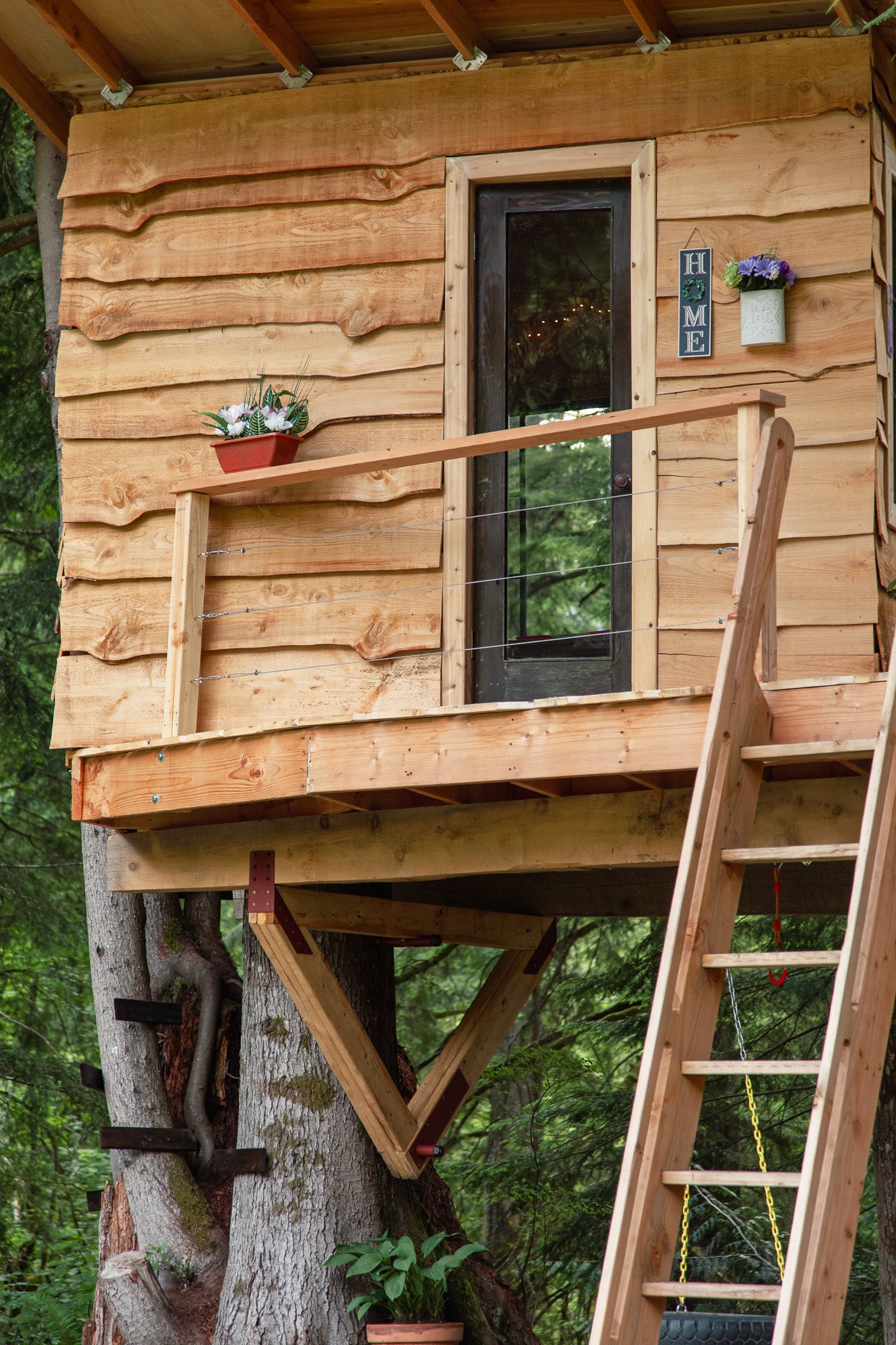 Wooden treehouse with a ladder and plants in a forest setting with treehouse hardware