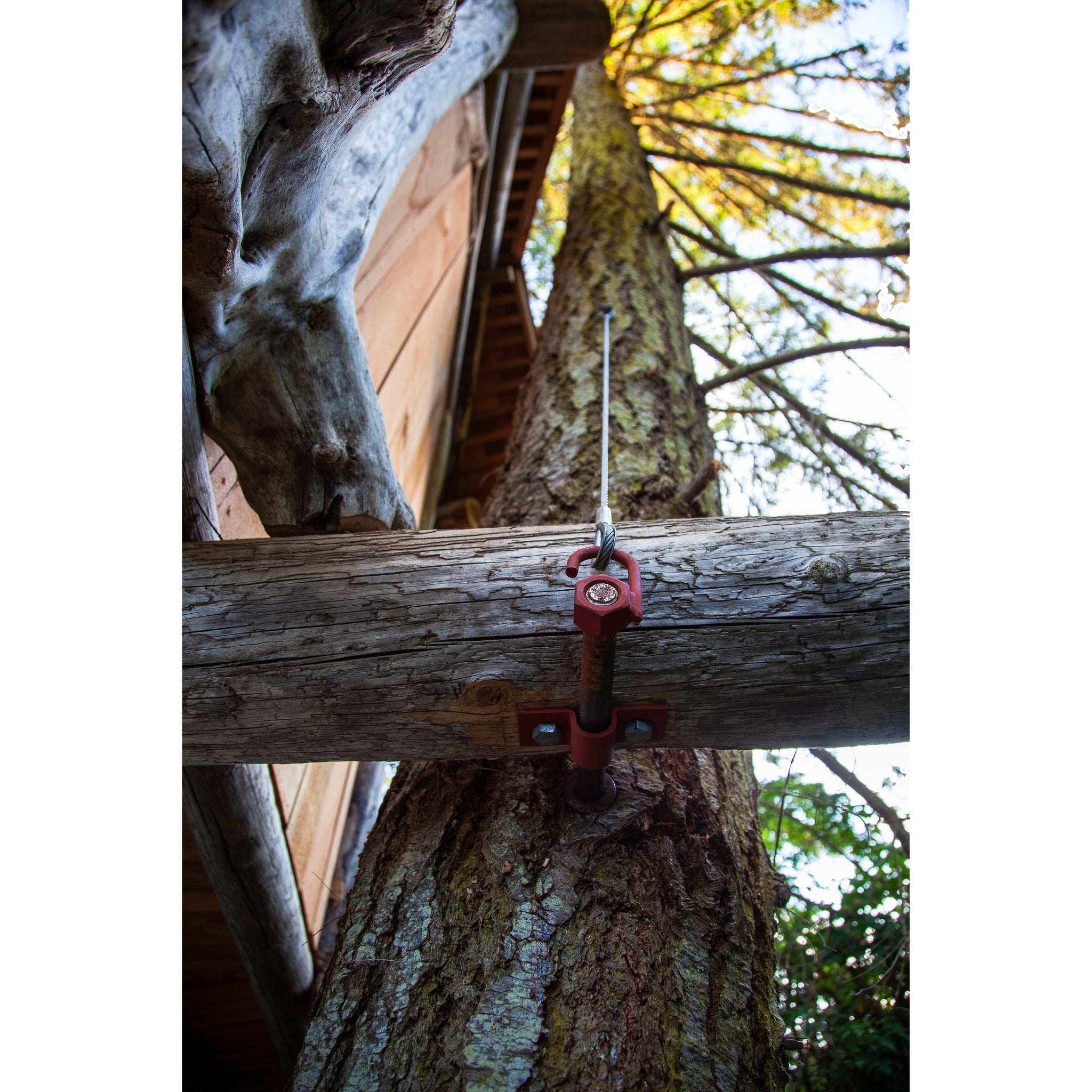 Cable de respaldo de Tree Fort