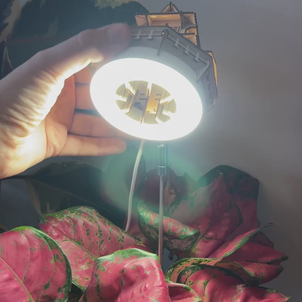 Sunrise Terrace + Grow Light – Be in a Tree