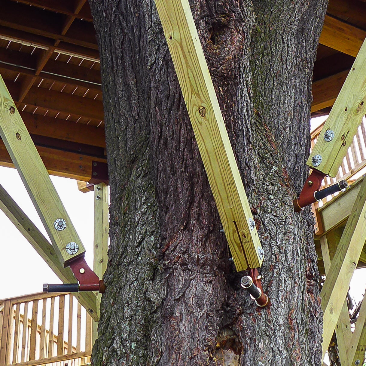 Puntal de madera TAB