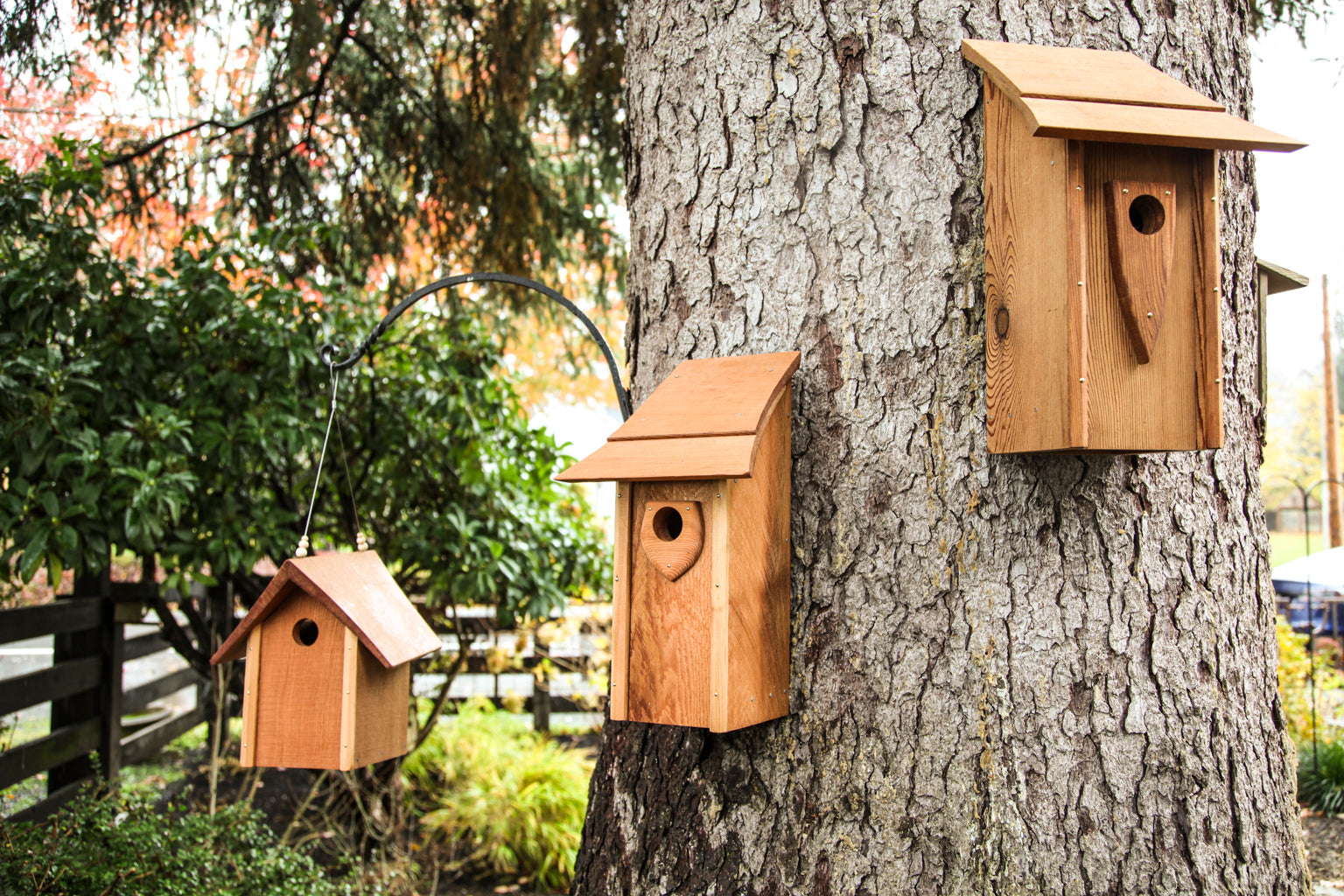 Classic Cedar Birdhouse