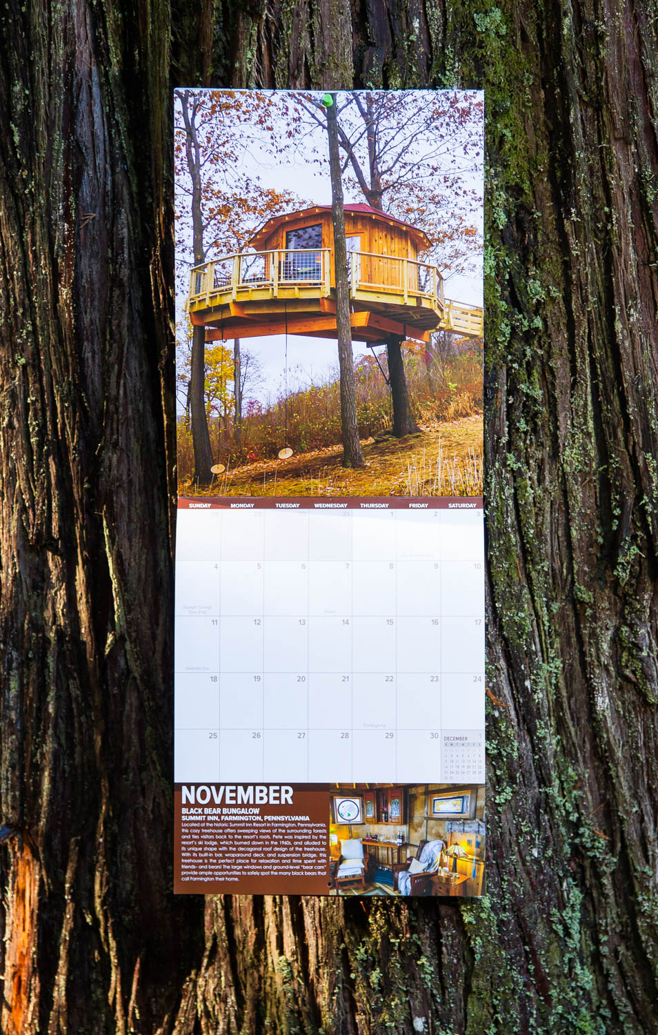 Pete Nelson's 2018 Treehouse Calendar