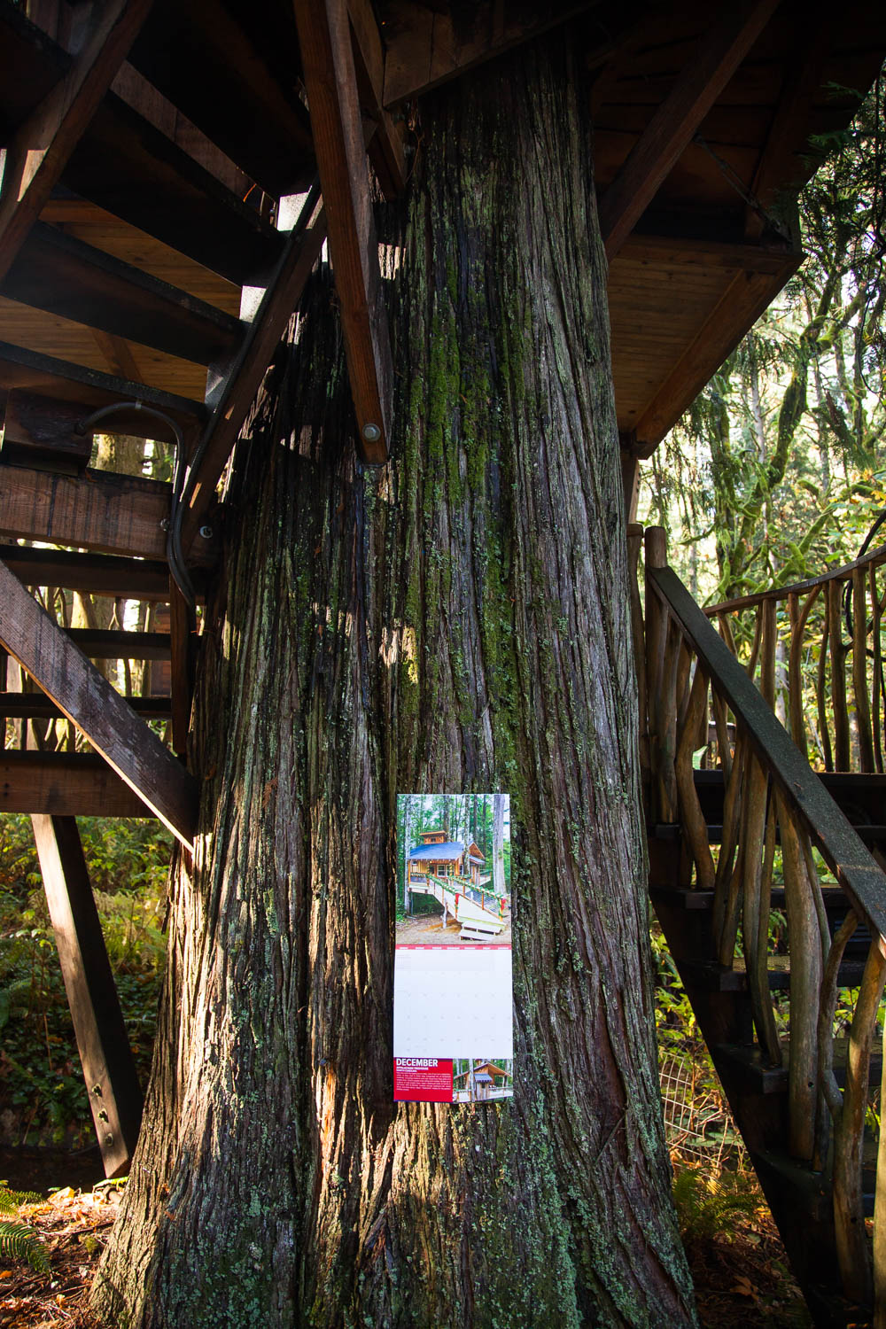Pete Nelson's 2018 Treehouse Calendar