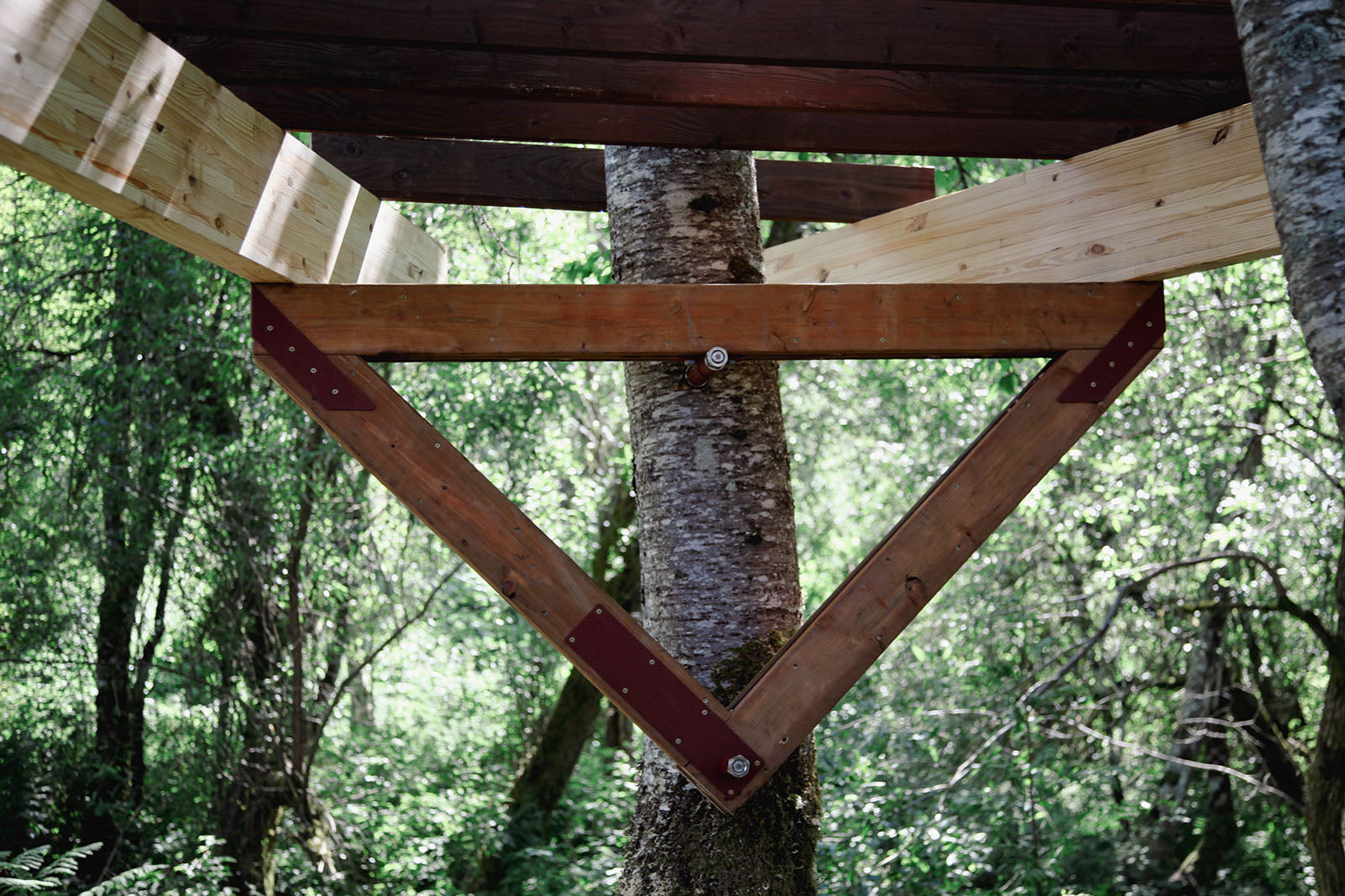 Tree Fort Cool Tree Houses You Can Vacation In Throughout New England