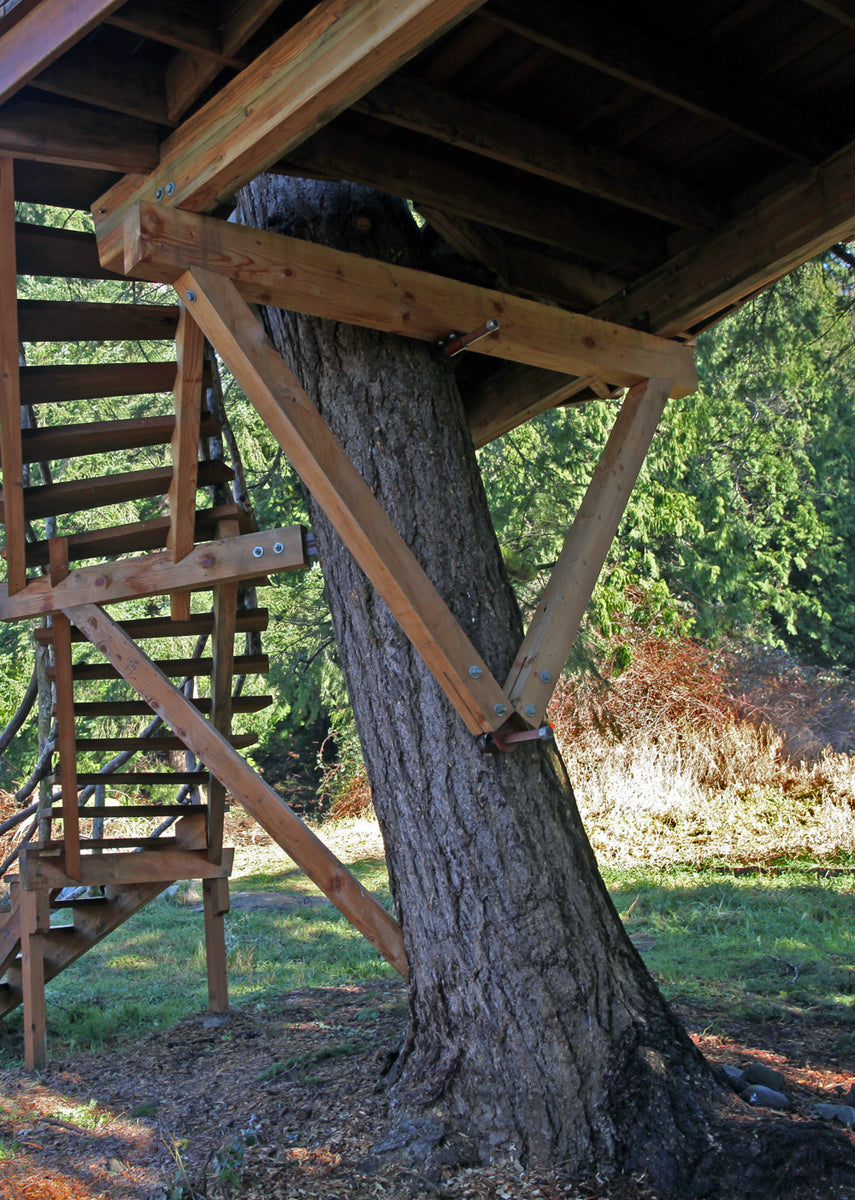 Treehouse Brackets