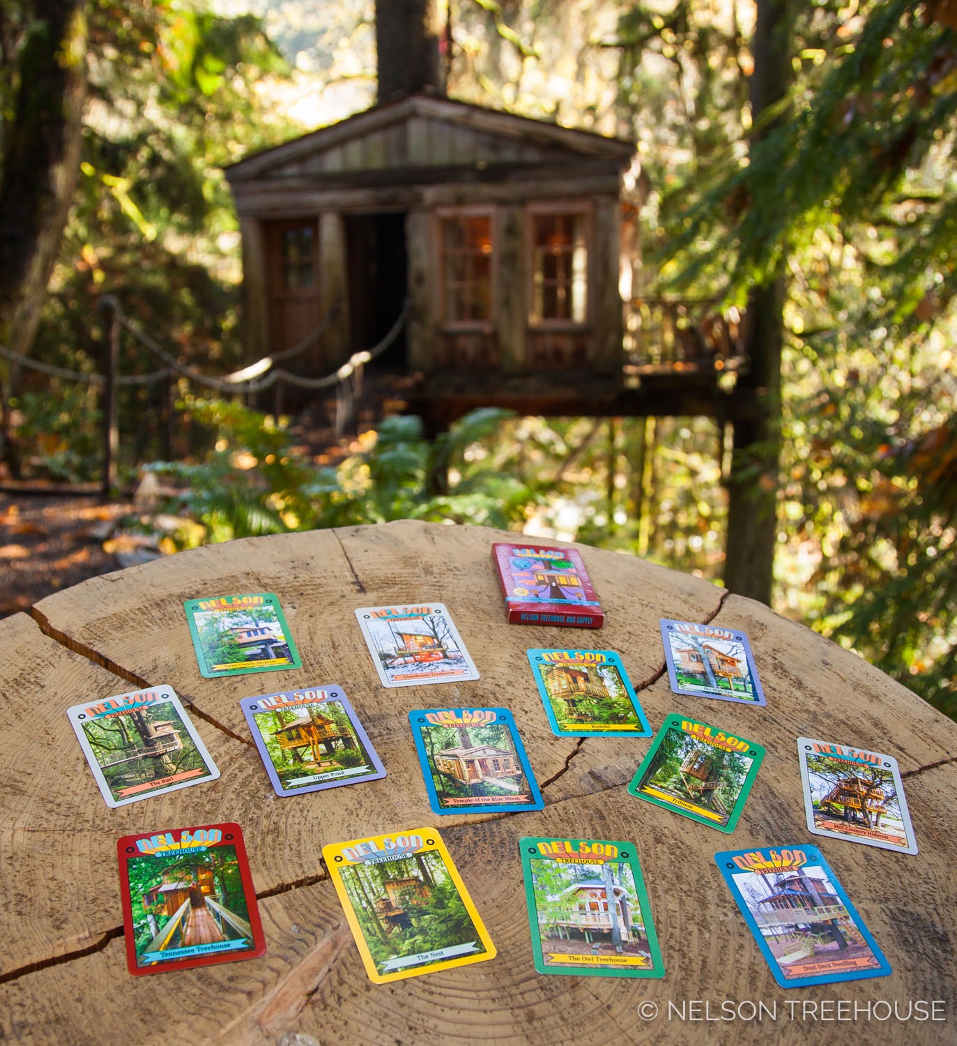 Treehouse Trading Cards